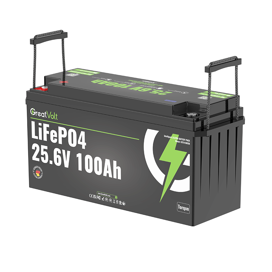 LiFePo4 24V 100Ah Battery System