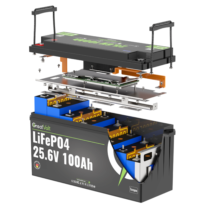 LiFePo4 24V 100Ah Battery System - Image 2